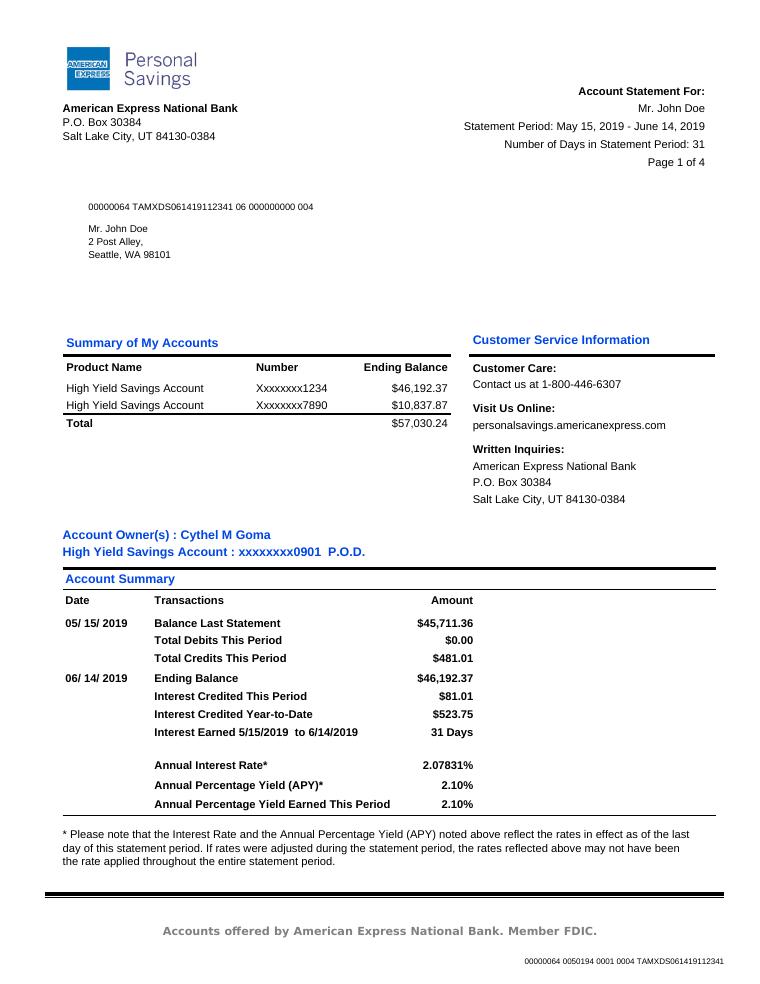 American Express Bank Statement preview