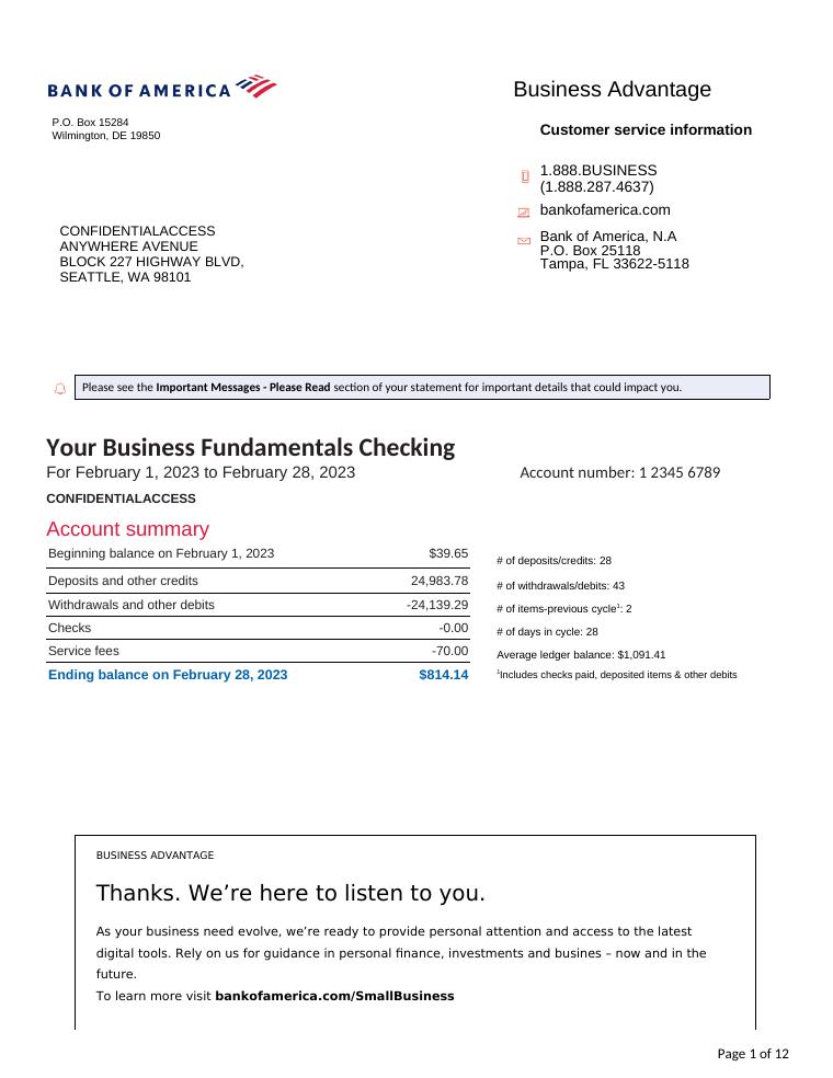 Bank Of America Statement Template 2023 (Biz) preview