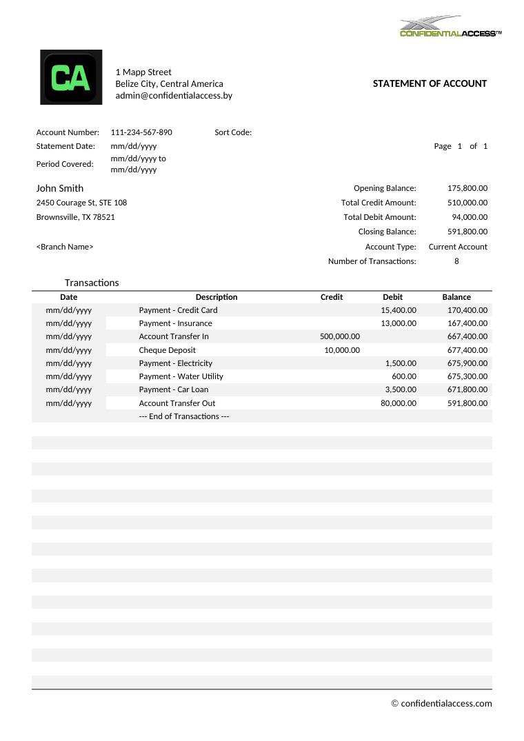 Bank Statement Template Generator2023 preview
