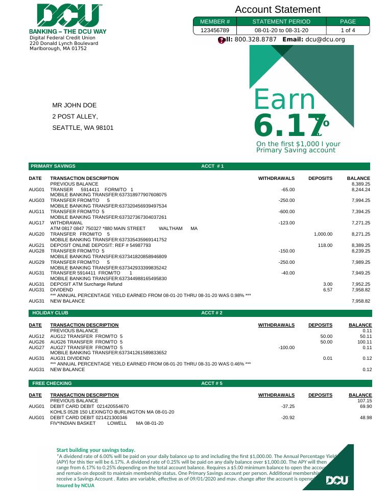 Dcu Bank Statement preview