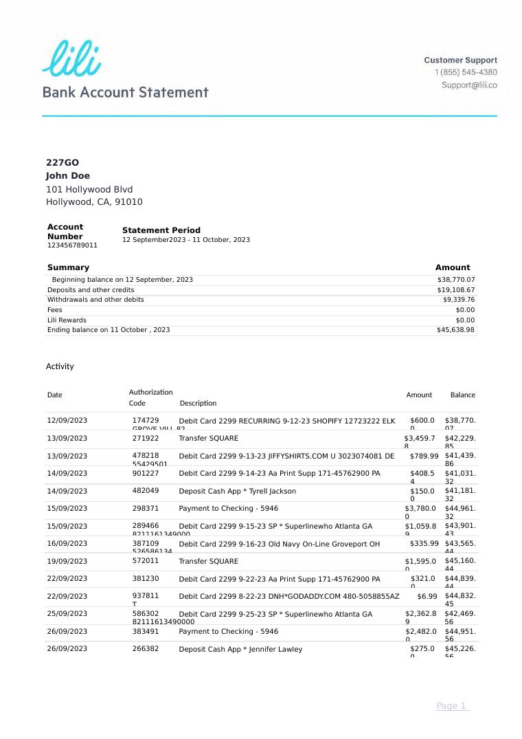 Lilli Bank Statement Kit 2023 preview