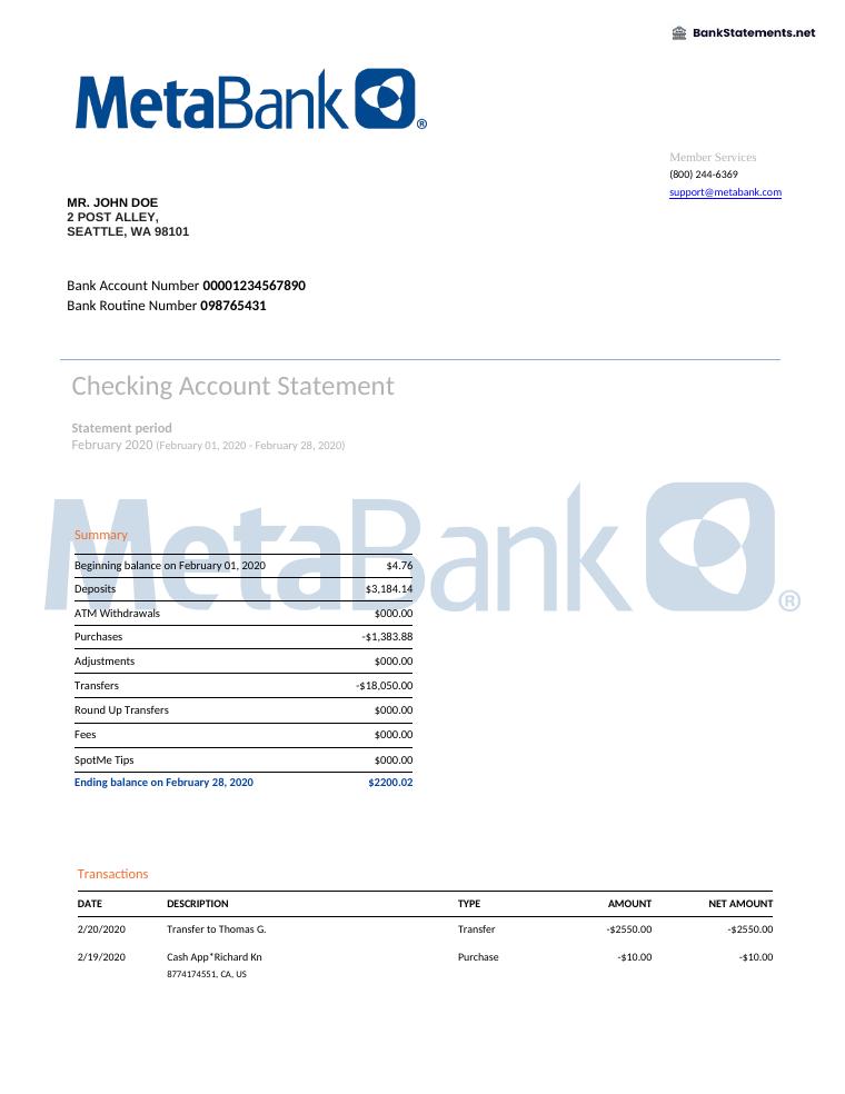 Metabank Bank Statement preview