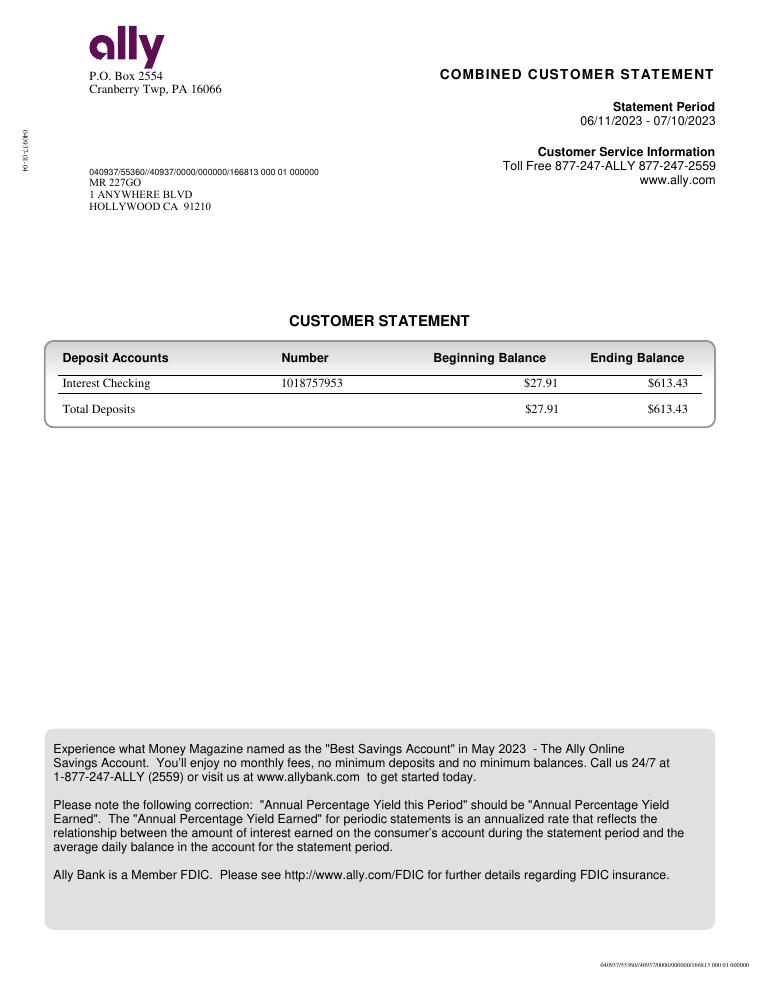 Ally Bank Statement Template document preview