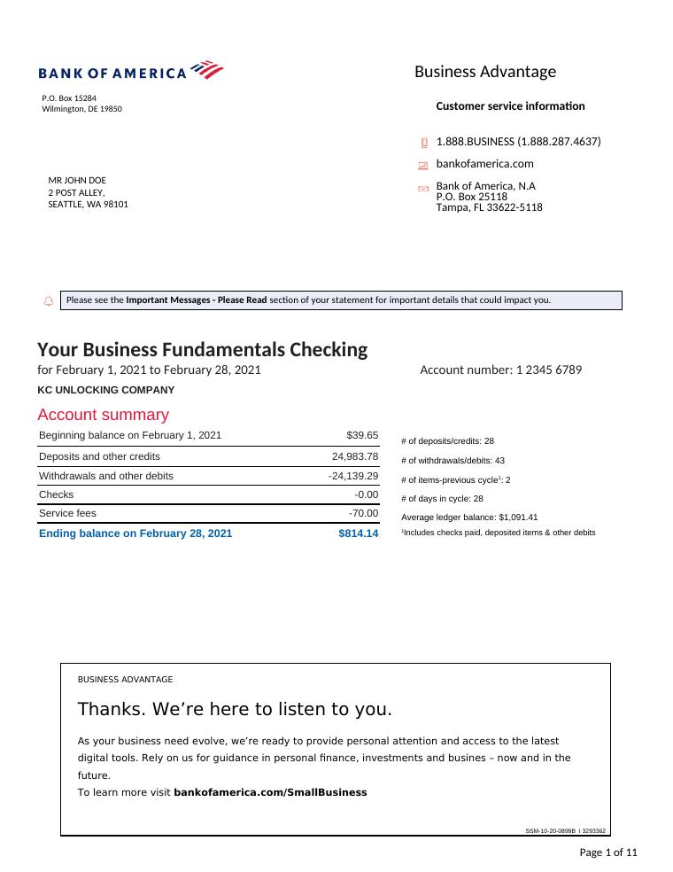 Bank of America Statement document preview