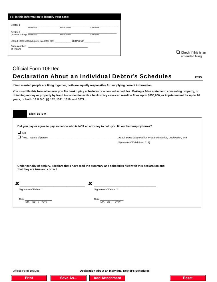 Declaration About an Individual Debtors Schedules document preview
