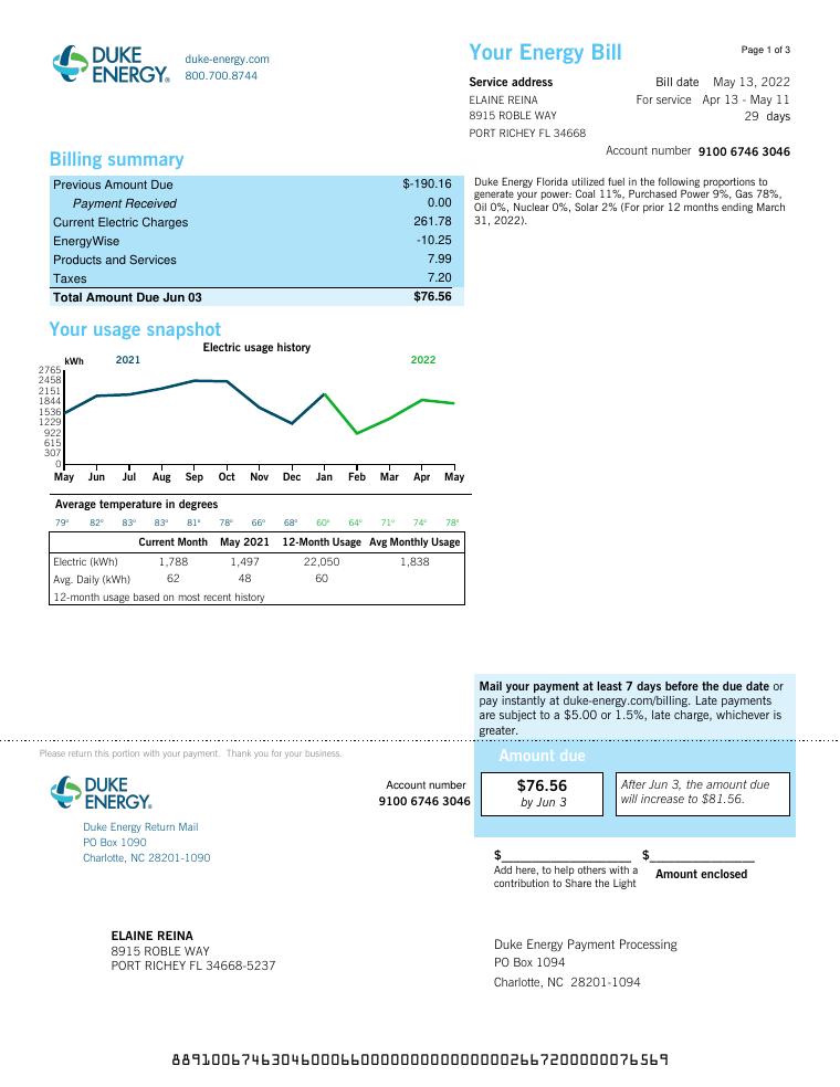 Duke Energy Template 2023 document preview