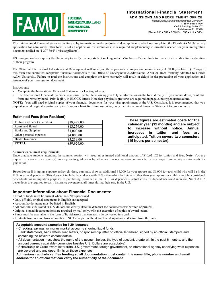 FAMU International Financial Statement document preview