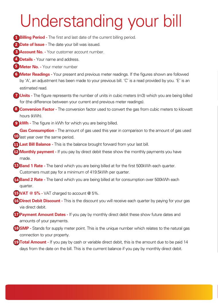 Firmus Energy Understanding Your Bill Sample document preview