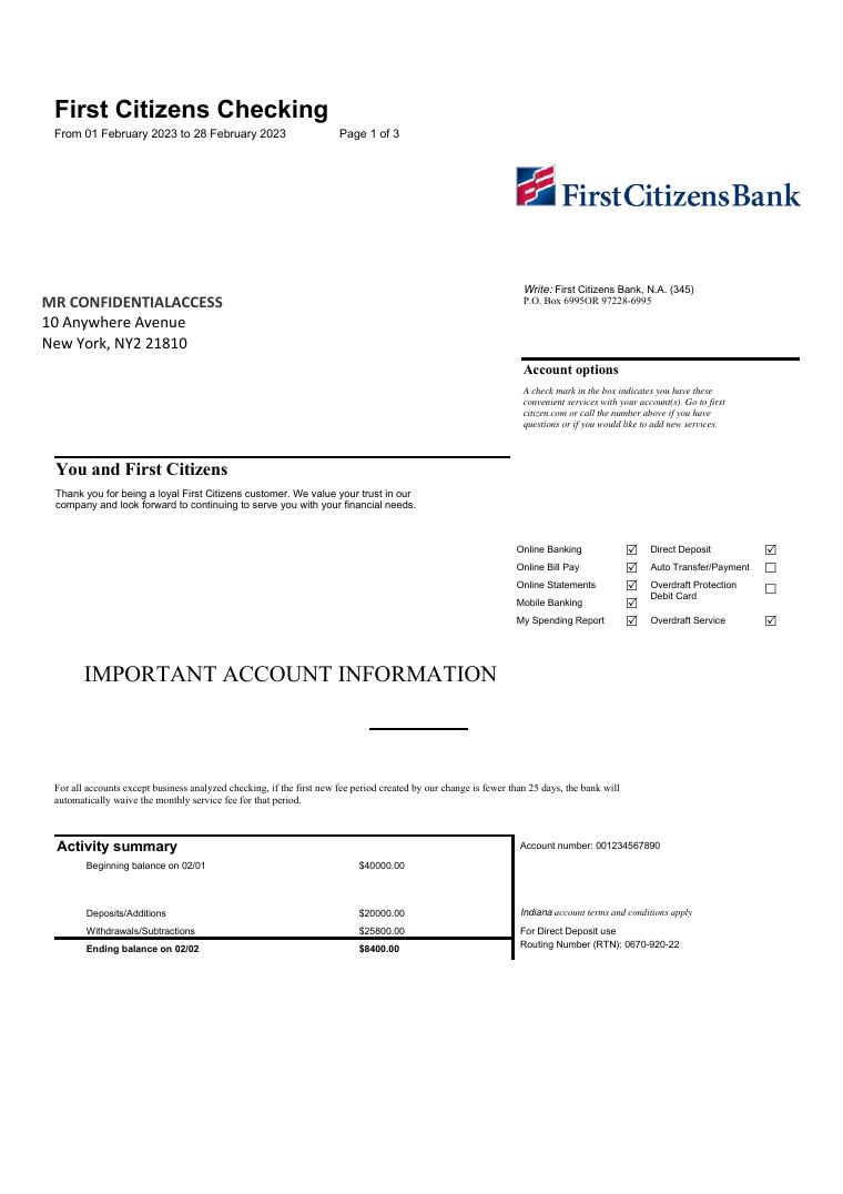 First Citizens Bank Statement Template 2023 document preview