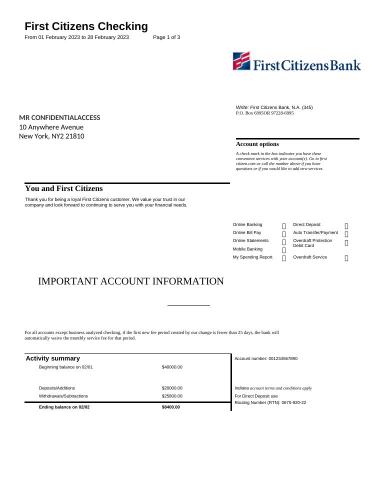 First Citizens Bank Statement Template 2023 document preview
