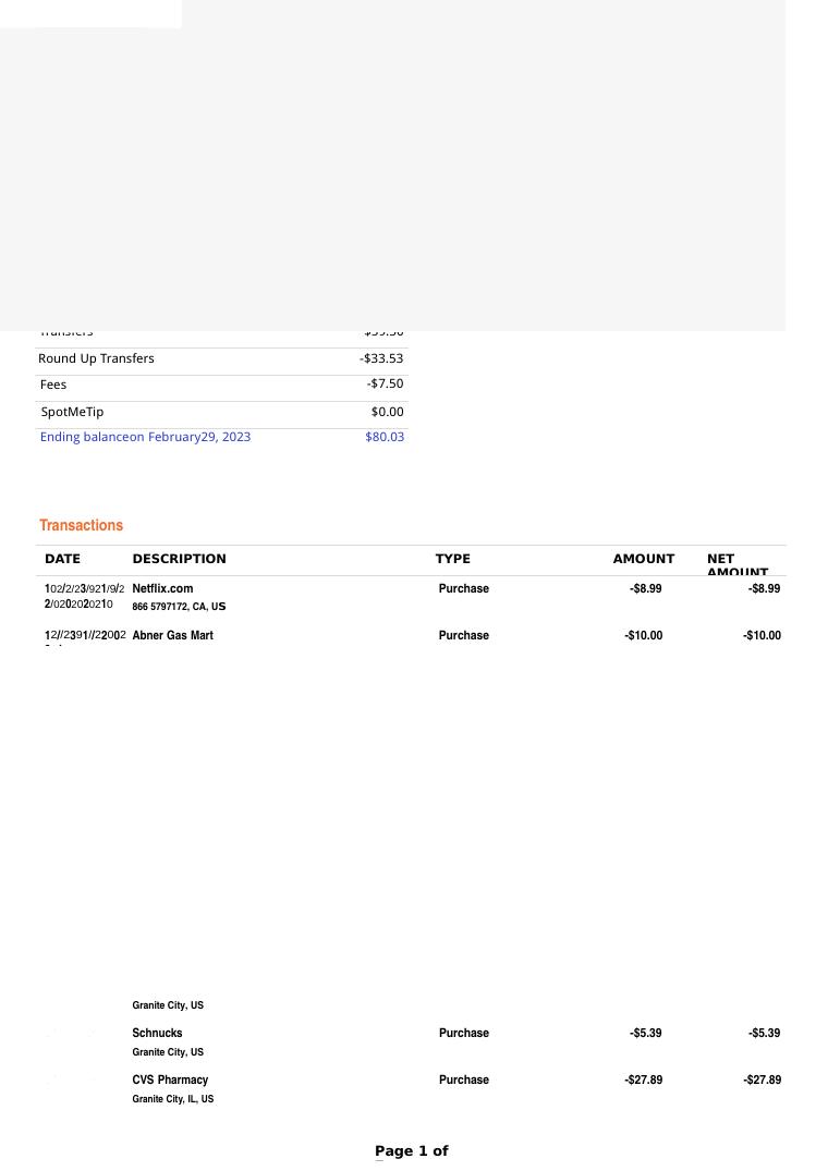 Greendot Bank Statement Template document preview