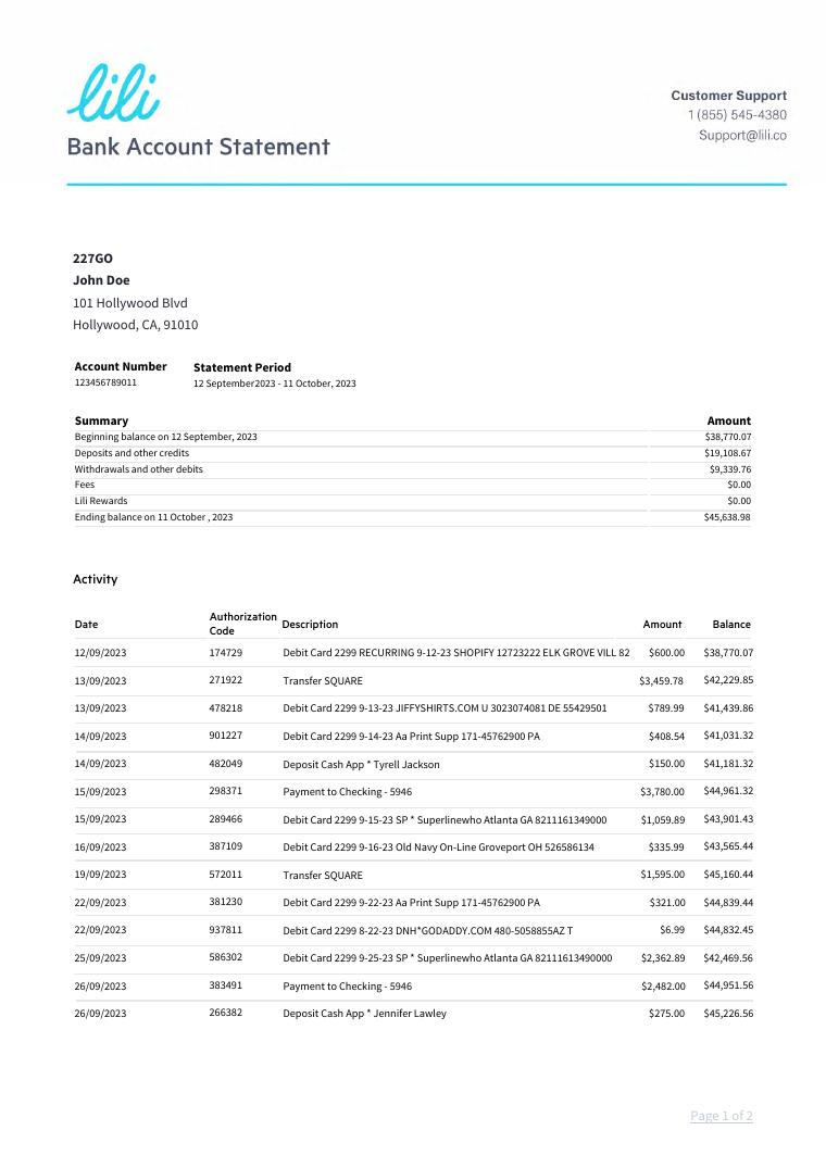Lilli Bank Statement Kit 2023 document preview