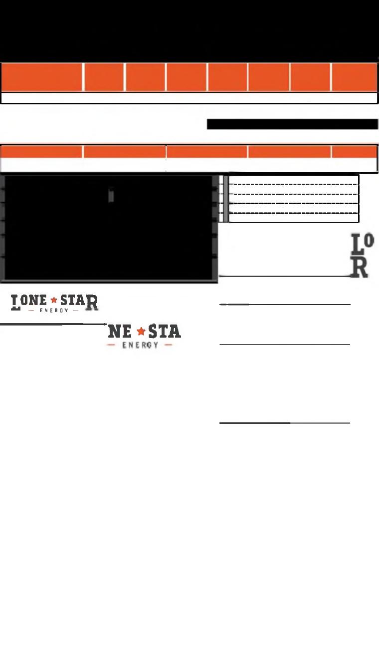 Lone Star Energy Texas document preview