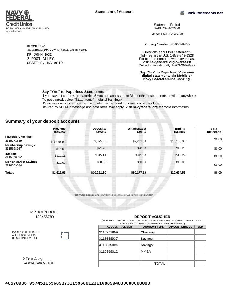 Navy Federal Bank Statement document preview