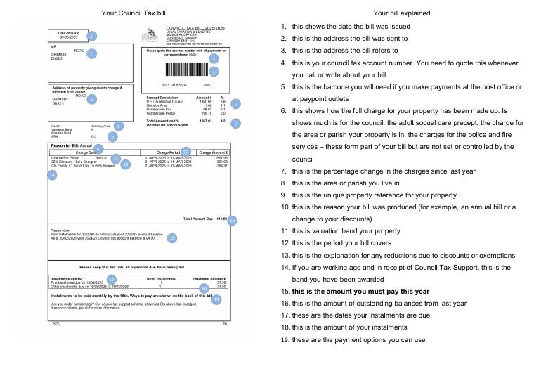 North East Lincolnshire Council Tax Bill Explained 2025-26 document preview