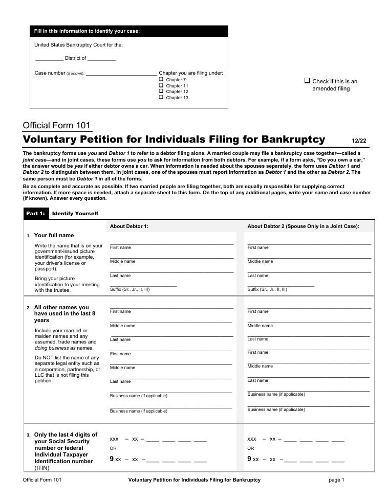 Official Form 101 Voluntary Petition for Individuals Filing for Bankruptcy document preview