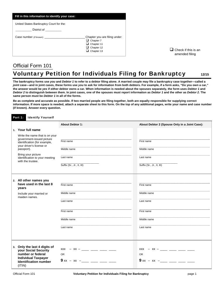 Official Form 101 Voluntary Petition for Individuals Filing for Bankruptcy document preview