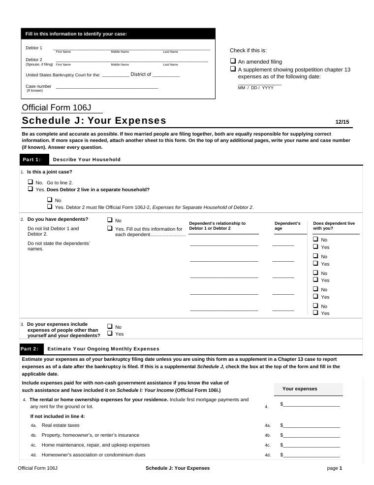 Official Form 106J Schedule J Your Expenses document preview