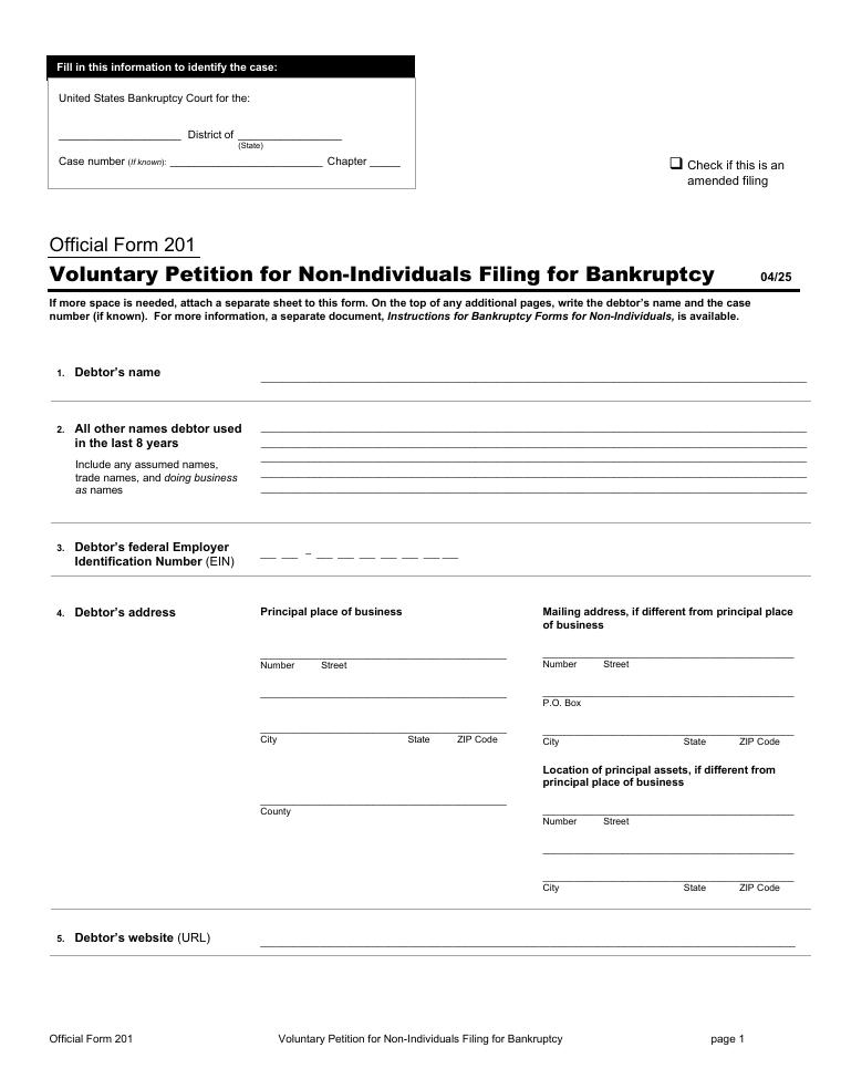 Official Form 201 Voluntary Petition for Non-Individuals Filing for Bankruptcy document preview