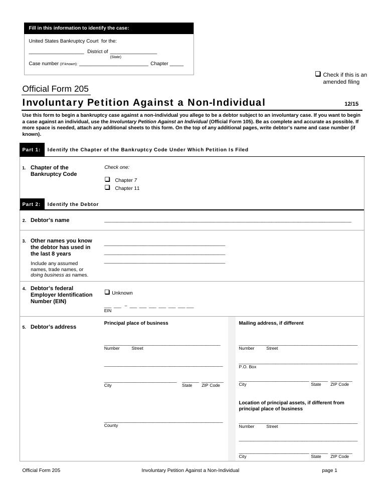 Official Form 205 Involuntary Petition Against a Non-Individual document preview