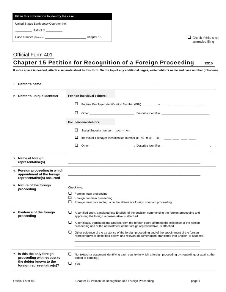 Official Form 401 Chapter 15 Petition for Recognition of a Foreign Proceeding document preview