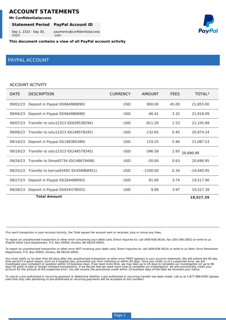 Paypal Bank Statement Template 2023 document preview