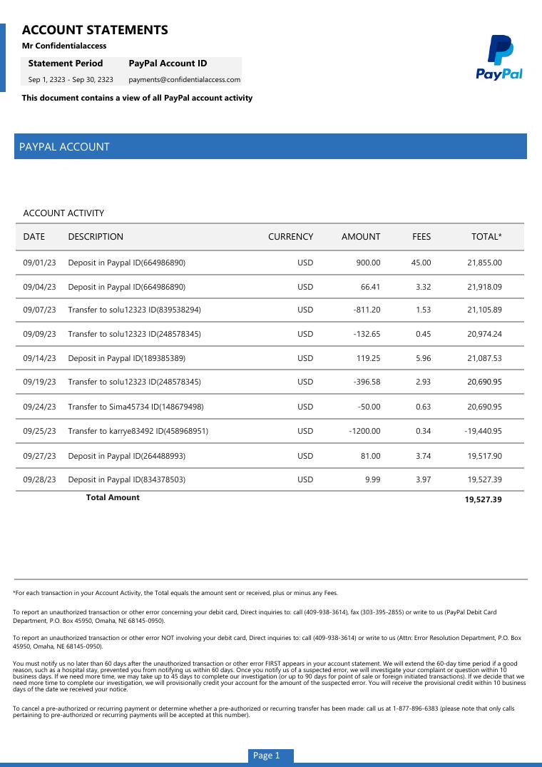 Paypal Bank Statement Template 2023 document preview