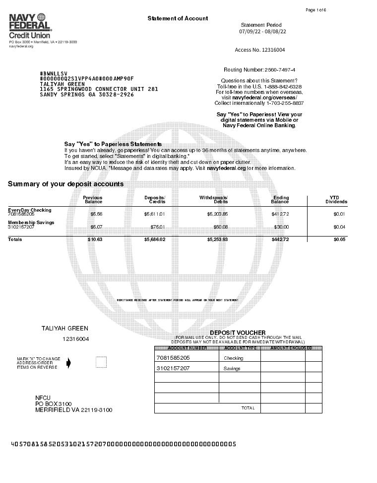 Statement 1 document preview
