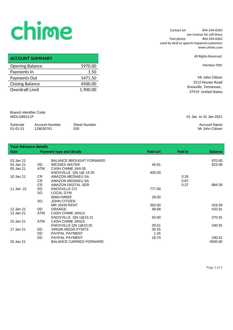 USA Chime Bank document preview