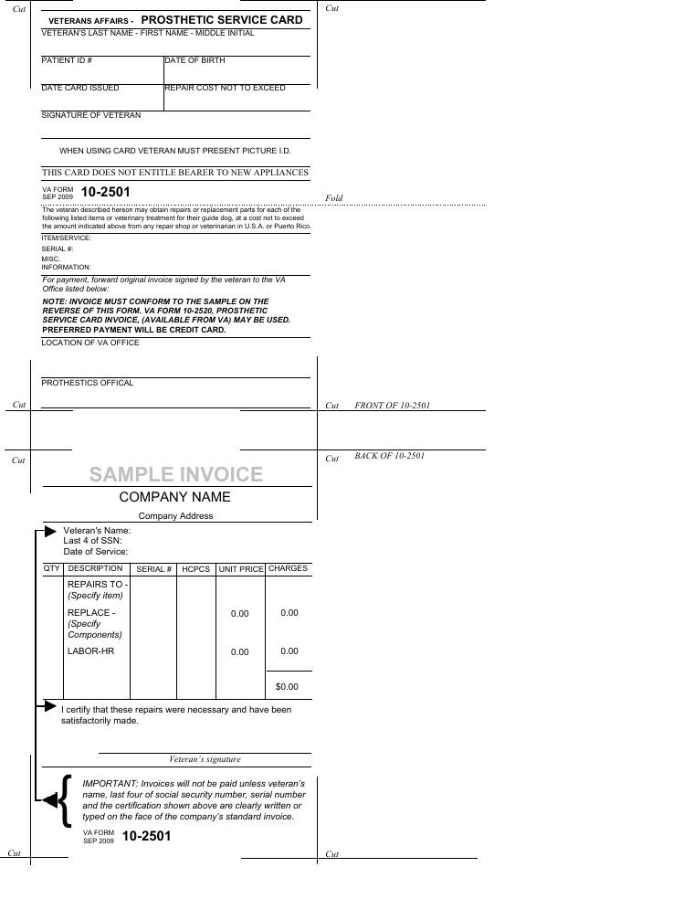 VA Form 10-2501 Sample Invoice document preview